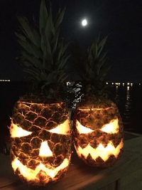 Halloween tropical