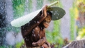 Un Orang-outan sous la pluie
