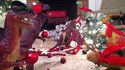 C'est bientôt noel !