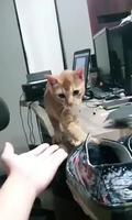 Ce regard au moment 