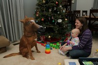 Un poney pour noël