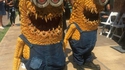 Des minions