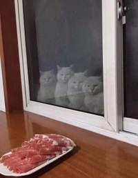 Soon...