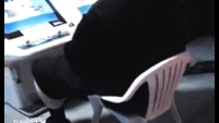 La fin de Megaupload en image