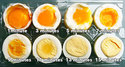 Les différentes cuissons d'un oeuf