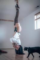 Cochon(ne) pendu(e) et chat(te) ?