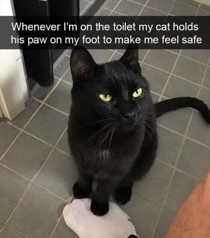 "Quand je vais aux toilettes, mon chat pose sa patte sur mon pied pour me faire sentir en sécurité".