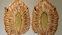 Pomme de pin fossilisée
