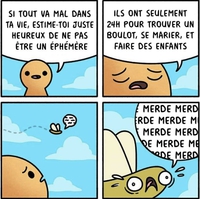 Vis ma vie d'éphèmère