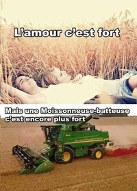 L'amour est dans le pré
