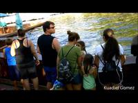 Un dauphin joueur (baissez le volume)