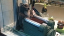 Et la marmotte