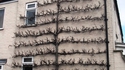 Façade maniaque