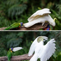 Elle est jolie, celle-là, tu t'en sers ?