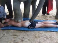 Une coloscopie par un éléphant