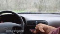Chien autonome