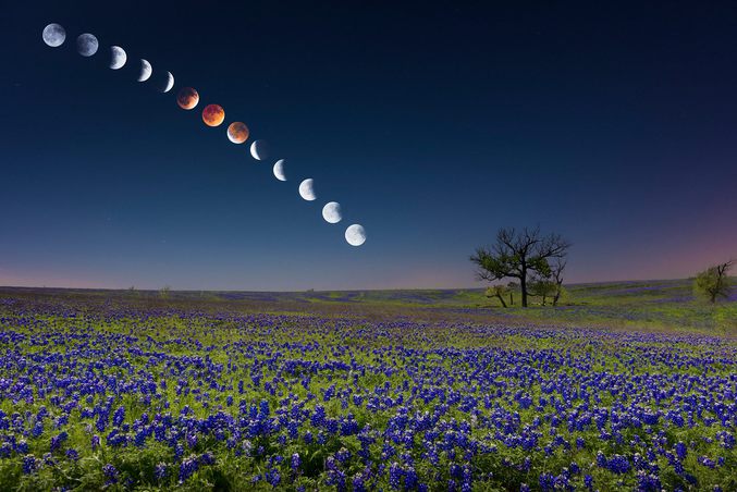 Aperçu des différentes phases de la lune de sang, hier, au Texas