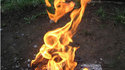 Fire Dragon