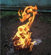 Fire Dragon