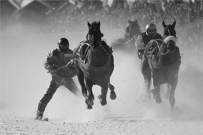 Une course de chevaux... à ski !