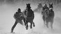 Course de chevaux