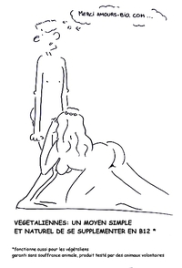 Se supplémenter en B12 (pour les végétaliens)