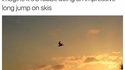 Un oiseau ?