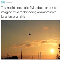 Un oiseau ?