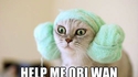 HELP ME 