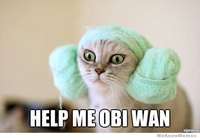 HELP ME 