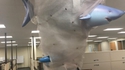 Sharknado 