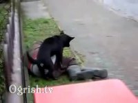 Ce que les SDF risquent vraiment