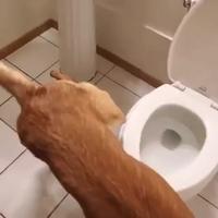 Cette fois ci c’est pas fake.