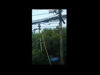 Comment faire descendre un gros serpent d'une ligne électrique