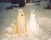 Deux chiens