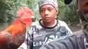 Aucun respect pour le chant du coq