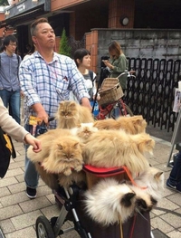 Marchand ambulant en Chine 