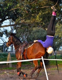 Le cheval:"Où est passée ma cavalière?"