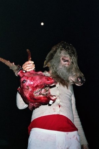 Tête de mule