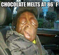 Le chocolat fond à 30° Celsius