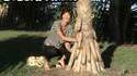 Arbre bizarre