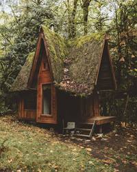 Petite cabane dans les bois