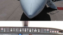Bird strike