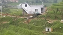Une maison qui a du chien