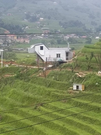 Une maison qui a du chien