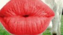Bisous baveux