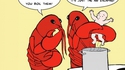 Homard m'a bouillir