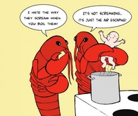 Homard m'a bouillir