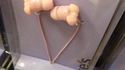 À la recherche des phallus perdus 198