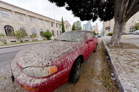 Une autre race de fdp est passée par là...